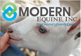 Modern Equine, Inc. - Your Horse's Family Doctor